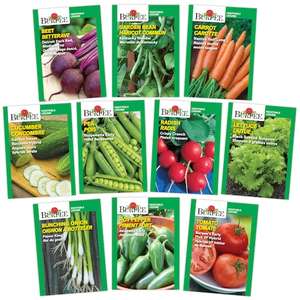 Pack de variétés d'herbes pour jardinage intérieur sans OGM avec design moderne Pots de fleurs modernes au <span class=keywords><strong>basilic</strong></span> et au thym <span class=keywords><strong>Plan</strong></span> en fibre végétale - Product Image 2