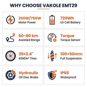 Vélo électrique hybride Vakole EMT29 29 pouces 250W 48V 15Ah batterie LG 3 modes de conduite capteur de couple frein hydraulique vélo électrique - Product Image 5