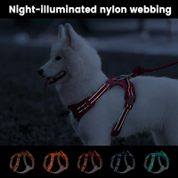 Sunraymascota 2025 Harnais pour chien en Oxford robuste, rembourré, réglable, réfléchissant, anti-traction, design personnalisé