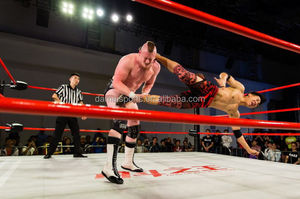 Fighttbro EPW钢 & 保护泡沫15英尺可定制摔跤环衬垫，适用于<span class=keywords><strong>WWE</strong></span>，终身保修 - Product Image 4