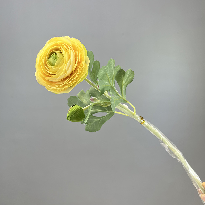 Amarillo