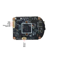 Module de Mini caméra dôme PTZ p, sans fil, avec Zoom x4, détection humaine, reconnaissance vocale bidirectionnelle, application Tuya, fourniture usine