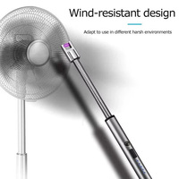 Vente chaude USB Rechargeable Électrique Plasma Briquet Coupe-Vent Sans Flamme USB Briquet avec Blister Carte Top Vente