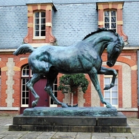 Sculpture de cheval arabe en cuivre et bronze antique Norton pour décoration extérieure de jardin, statue d'animal personnalisée en laiton moulé