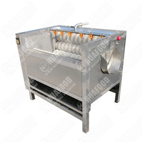 Volautomatische Efficiëntie Cassave Wortel Gember Aardappel Wasmachine Fruit En Groenten Reinigingsmachine
