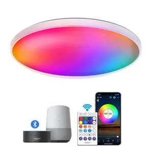 30W Dimbare Smart Wifi Ble Lamp 2.4G Afstandsbediening Armaturen Design Kamer Lichten Modern Inbouw Led Plafond licht Voor Thuis