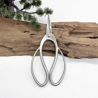 Outils horticoles, ciseaux de jardinage multifonctionnels spécialisés pour la conception de bonsaïs, arrangement floral, en acier inoxydable