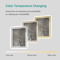 Miroir mural lumineux avec désembuage Miroir intelligent LED pour salle de bain avec interrupteur tactile