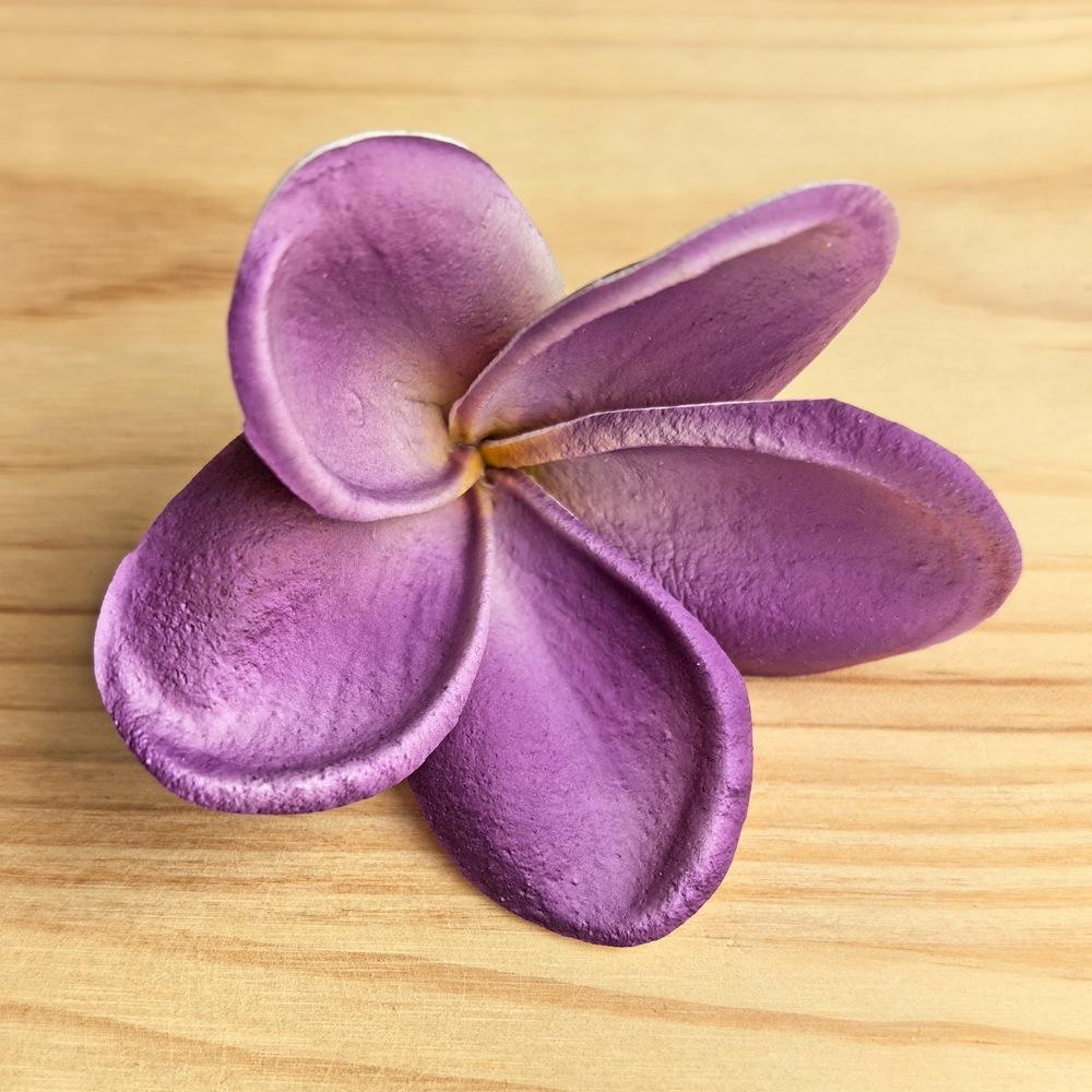 สีม่วง #1