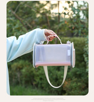 Sac à dos de transport portable pour cochon d'Inde avec fenêtre en maille pour cochon d'Inde, lapin, rat, oiseau, perroquet, petit animal, sac de voyage
