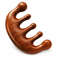 Brosse à cheveux en bois portable avec poignée confortable, outil de massage du cuir chevelu, kit de voyage, routine quotidienne de soin des cheveux, peigne de massage en bois
