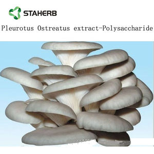 Экстракт бета-глюкана плеврута остреата, Экстракт устричных грибов - Product Image 5