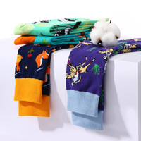 Vente en gros Chaussettes en coton sur le thème des animaux à la mode Panda Fox Shark Kangaroo Gecko Patterns Happy Cartoon Chaussettes