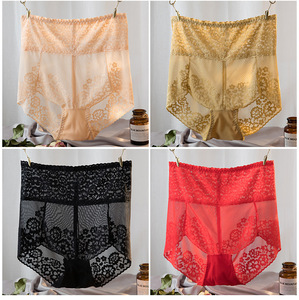 Ropa interior bragas <span class=keywords><strong>de</strong></span> talla grande para <span class=keywords><strong>mujer</strong></span> <span class=keywords><strong>con</strong></span> encaje <span class=keywords><strong>de</strong></span> malla floral bordado <span class=keywords><strong>de</strong></span> tiro alto - Product Image 6