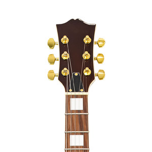 جيتار كهربائي للمبتدئين عالي اللمعان بـ 6 أوتار، جوانب من خشب الساپلي ولوحة أصابع من خشب الورد، مع ميكروفون واحد - Product Image 4