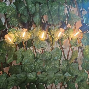 Guirlande lumineuse étanche S14 pour mariages, cafés, patios, fêtes et festivals, 10 pieds, vente en gros - Product Image 6
