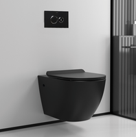 Toilette murale suspendue de haute qualité noir mat coloré Wc WC suspendus ensemble de toilettes