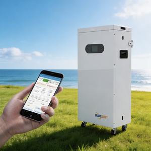 Paquete de Baterías de Litio de 16 kWh, 51.2 V, 314 Ah, Montado en Rack, 6000 Ciclos, Sistema de Respaldo de Energía Solar/Hogar, -20-50 °C, China - Product Image 4