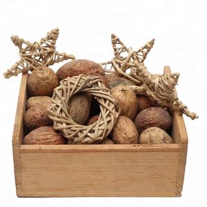 Nouvel Arrivage : Fleurs et Plantes Séchées Décoratives Écologiques Artisanales en Gros, Design Étoilé en Filet pour l'Ambiance Intérieure - Product Image 2