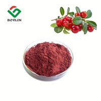 Natuurlijk Cranberry Poeder Beste Prijs Cranberry Sap Fruitpoeder Bulk Voedingsmiddelenkwaliteit voor Dranken