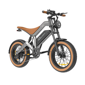 Batería de Litio de Acero M20 48V con Motor sin Escobillas, Estilo Deportivo, Neumático Ancho, Alta Velocidad, Disponible en EE. UU. y la UE - Product Image 2