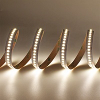 Bande LED SMD Premium 2835 24V/48V, simple rangée, 240 puces par mètre, 95Lm par Watt pour projets architecturaux