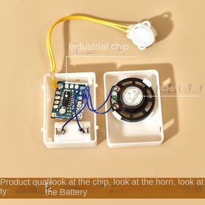 Juguete de Peluche Grabable con Caja de Música, Generador de Sonido DIY, Muñeca con Función de Confesión, Colgante, Caja de Música de Plástico, Grabación de Sonido Estable - Product Image 4