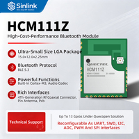 Module BLE 5.3 HCM111Z basse consommation avec codec audio intégré pour compteur d'énergie domestique intelligent et chargeur de VE avec antenne de 4e génération
