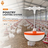 Lampu LED Unggas IP67 Tahan Air 48V DC Dapat Diredupkan Plug and Play Perlengkapan Penerangan Peternakan Ayam Rumah Unggas Broiler Layer