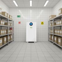 Pack de batteries LiFePO4 51,2 V 300 Ah, compact et puissant pour le stockage d'énergie solaire domestique