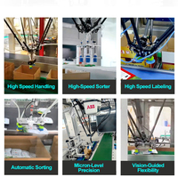 Emballageur de cartons électrique Delta Robot, solution d'emballage automatique fiable avec une productivité élevée
