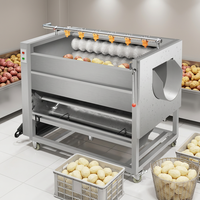 FENGXIANG Multi-Roller Borstels Groente- en Fruitwas- en Schilmachine SUS304 Materiaal 300-500KG/H Capaciteit Rechtstreeks van de Fabriek