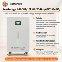 Batterie LiFePO4 séparée 51,2 V 16 kWh réellement utilisable, compacte 0,08 m, montage mural sur roulettes, installation sans outil CAN pour stockage solaire