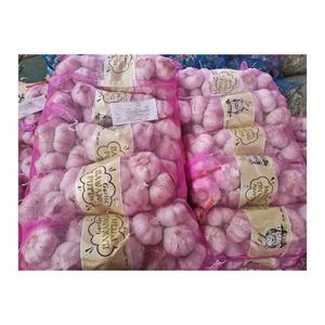 <span class=keywords><strong>Ail</strong></span> d'<span class=keywords><strong>éléphant</strong></span> de plus grande taille <span class=keywords><strong>Ail</strong></span> sec biologique Paquet personnalisable <span class=keywords><strong>Ail</strong></span> blanc pur vers l'Amérique du Sud - Product Image 5