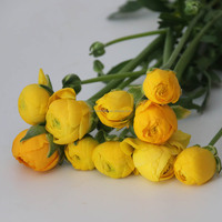 Bunga Ranunculus Kualitas Tinggi Grosir, Ranunculus Real Touch untuk Dekorasi Taman, Rumah, Meja Makan, Pernikahan, dan Acara