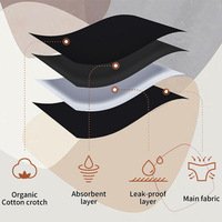 Culottes menstruelles Shanhao OEM sans PFAS, étanches, taille basse, à base de matériaux bio, pour une performance optimale