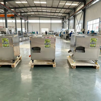 Automatische hoogproductieve groene banaan- en plantain-schilmachine voor fruitverwerking