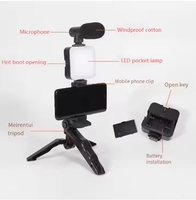 Stock d'usine AY 49 Téléphone sans fil Multifonctionnel Lumière d'appoint Vlog Diffusion en direct Kit de vlogging beauté Microphone Clip Réglable