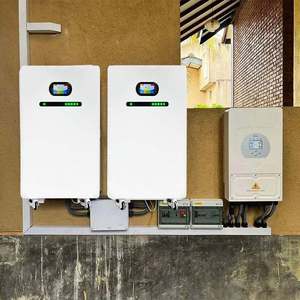 DAWNICE Almacenamiento de energía solar para el hogar 5kwh 10kwh Lifepo4 Batería 10 años de garantía Powerwall 48V 200ah Baterías de iones de litio 100ah - Product Image 5