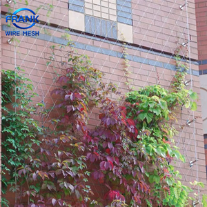 Grillage de treillis de jardin en fil d'acier inoxydable robuste et antirouille, qualité supérieure, <span class=keywords><strong>direct</strong></span> <span class=keywords><strong>usine</strong></span>, pour plantes grimpantes, vignes et rampants - Product Image 4