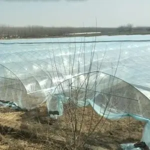 Estufas Agricultura Use Filme Plástico Plantio Casa Verde para Legumes e Frutas