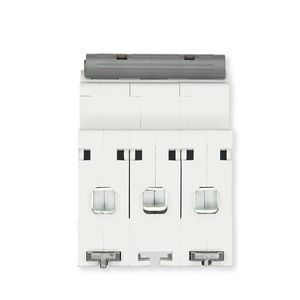 <span class=keywords><strong>Sassin</strong></span>-Disyuntor Miniatura 1P Mini MCB de 230V, La Mejor Marca - Product Image 4