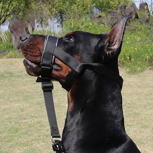 Reflektieren des Hunde halsband mit doppeltem D-Ring-verstellbares Nylon-No-Pull-Halsband mit nächtlichen Sicherheits streifen für kleine bis große Katzen und Hunde - Product Image 1