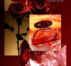 Parfum YOUNIKE en gros 2025 Luxe Haute Qualité 100ml Parfum Boisé Longue Durée Vaporisateur Eau de Parfum pour Femmes - Product Image 2