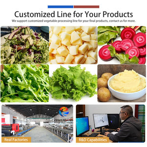 1-3t/h Leafy Greens Salad Vegetable Cutting Washing and Drying Machine - Product Image 6