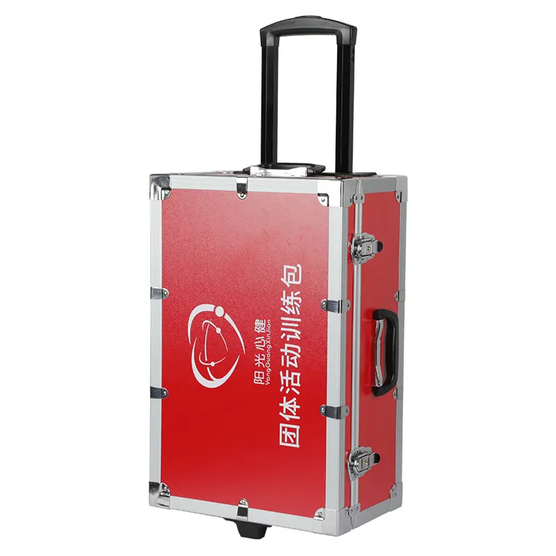 Concurrerende Prijs Handvat Flightcase Vergrendelingen Bagagetas Professionele Make-Up Trolley Case