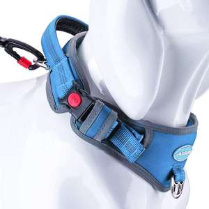 Köpek ayarlanabilir spor koşum için koşum yansıtıcı eğitim yürüyüş koşum moda köpek malzemeleri - Product Image 5