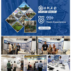 OEM ODM Chine Fabrication Dent Interne Galvanisé Papillon Plat Autobloquant <span class=keywords><strong>Var</strong></span> Étape Double Grande Rondelle - Product Image 2