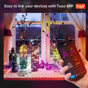 Tira de luces Led Rgb con Wifi para Navidad, tira de luces de 5m y 10m para árbol de Navidad - Product Image 3