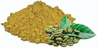 Extrait de grains de café vert de qualité supérieure, poudre, ingrédient végétal naturel, idéal pour les formulations alimentaires, les boissons et les mélanges nutritionnels